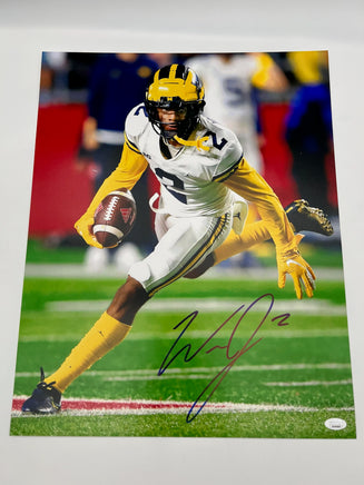 Will Johnson Autographed 16x20 Michigan Wolverines Photo JSA CoA.