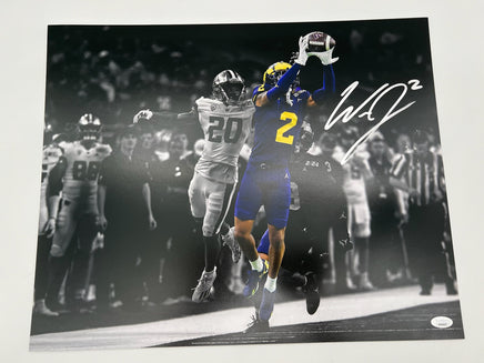 Will Johnson Autographed 16x20 Michigan Wolverines Photo JSA CoA.