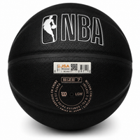 Richard Hamilton Autographed Detroit Pistons Wilson Basketball JSA CoA.