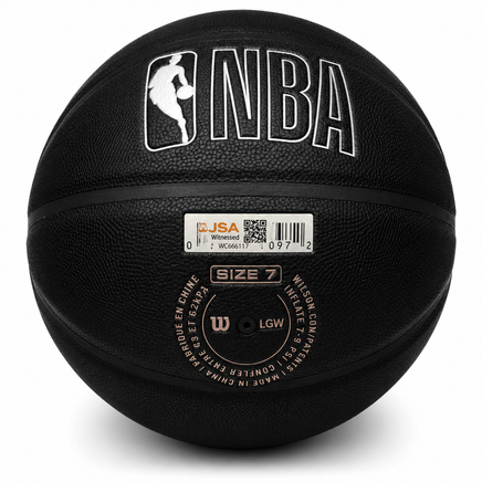 Richard Hamilton Autographed Detroit Pistons Wilson Basketball JSA CoA.
