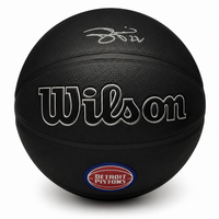 Tayshaun Prince Autographed Detroit Pistons Wilson Basketball JSA CoA.